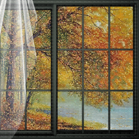 Window.Fenêtre.Ventana.Victoriabea - GIF animate gratis