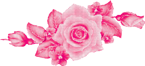 Roses - Kostenlose animierte GIFs