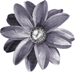 flower deco scrap kikkapink - PNG gratuit