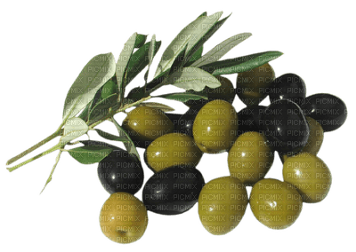 olives bp - png ฟรี