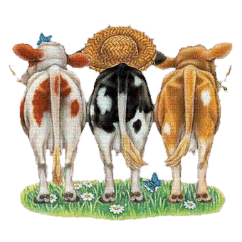 cow kühe vaches farm fun summer spring animal tube  anime animated animation gif - Free animated GIF