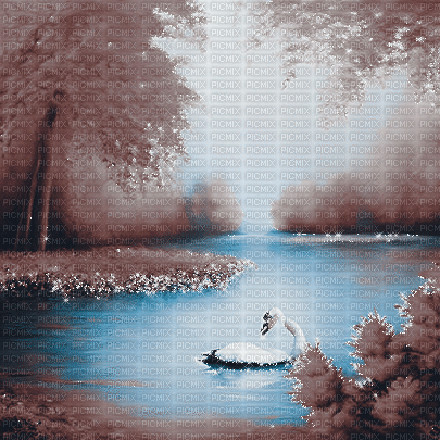 kikkapink autumn background swan lake - Darmowy animowany GIF