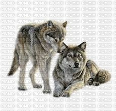 wolf duo - 免费PNG