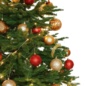 Christmas tree bp - png gratis