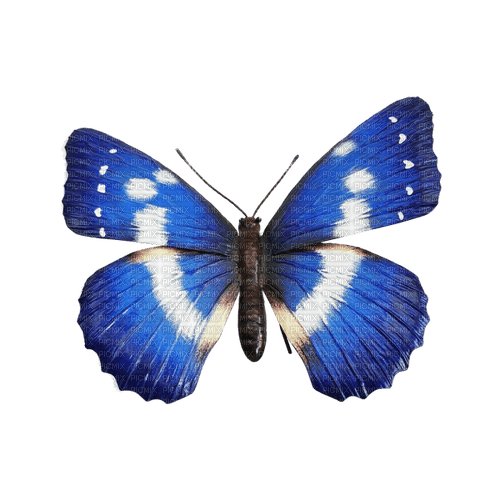 kikkapink deco scrap blue butterfly - бесплатно png