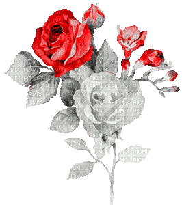 soave deco flowers rose branch animated vintage - Gratis geanimeerde GIF