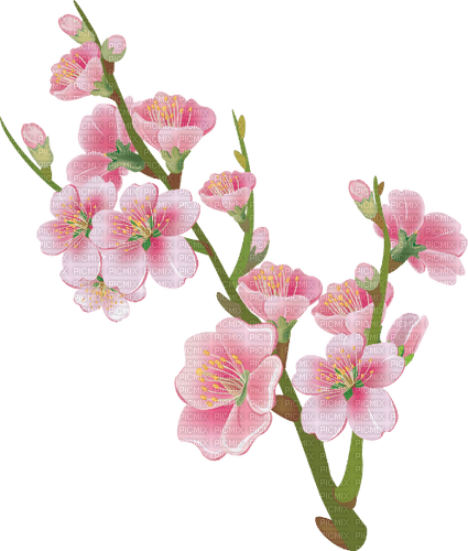 Pink flowers   Bb2 - ücretsiz png
