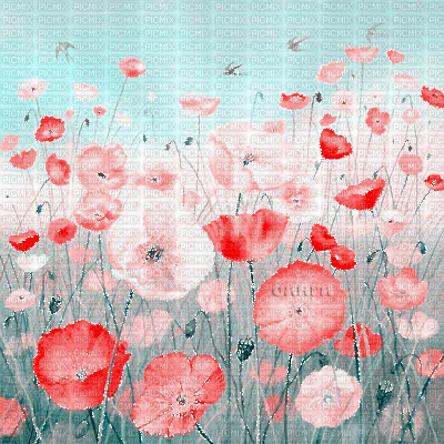 Y.A.M._Summer landscape background flowers - Free animated GIF