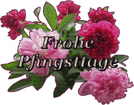 frohe pfingsten - Δωρεάν κινούμενο GIF