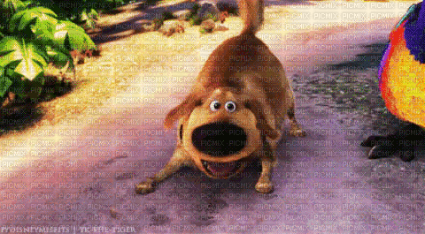 oben doug dog hund - GIF animado gratis