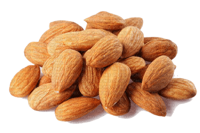 almonds - zadarmo png
