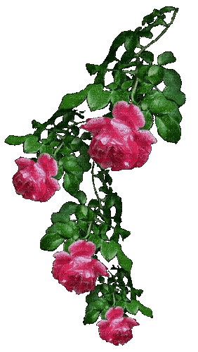 цветы - Gratis geanimeerde GIF