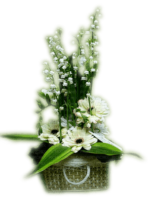 muguet lily of the valley deco - gratis png