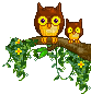 owl gif - Free animated GIF