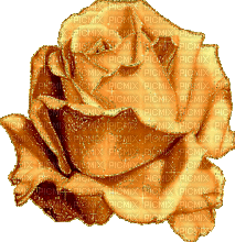 róża - Gratis geanimeerde GIF