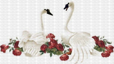 BEAUTY SWANS - Free PNG