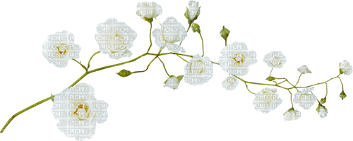 white deco flowers branch - PNG gratuit