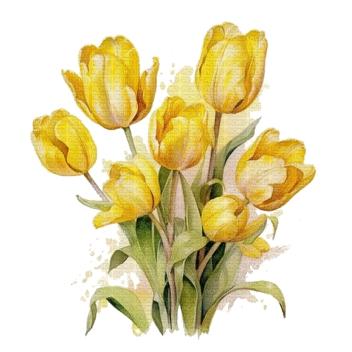 yellow tulip flowers jaunes - Δωρεάν κινούμενο GIF