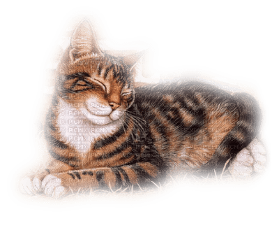 patymirabelle chat - kostenlos png