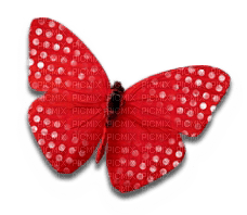 Butterfly Red