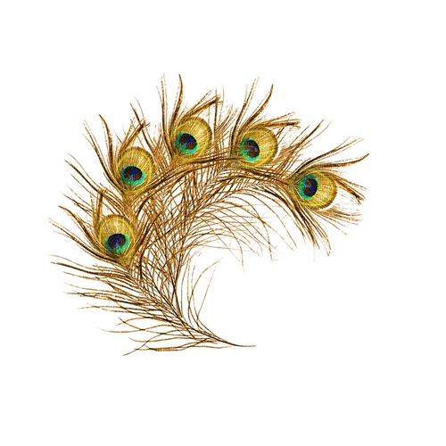 Peacock Feather - bezmaksas png