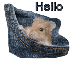 hello hamster - Бесплатни анимирани ГИФ