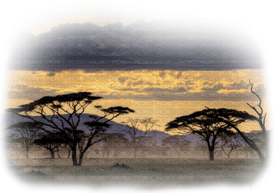 paysage africain.Cheyenne63 - gratis png