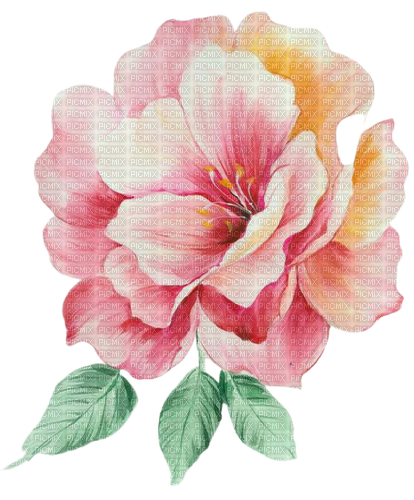 watercolor flower - PNG gratuit