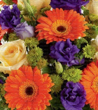 image encre fleurs couleur texture effet edited by me - PNG gratuit