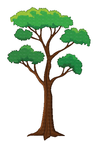 Tree - GIF animé gratuit