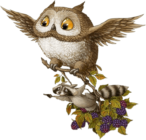 Y.A.M._Summer little animals owl - PNG gratuit