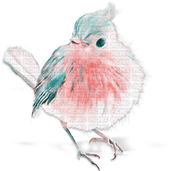 soave deco bird pastel spring pink teal - 免费PNG