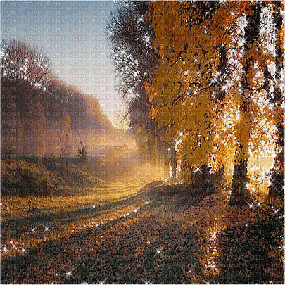 kikkapink autumn animated background - Gratis geanimeerde GIF