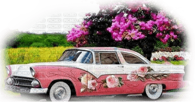 pink car bp - Free PNG