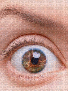 yeux - Bezmaksas animēts GIF