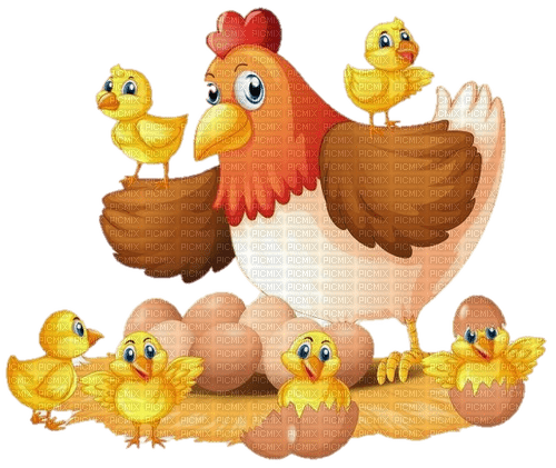 chicken - png grátis