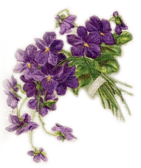 flores pascua dubravka4 - ücretsiz png