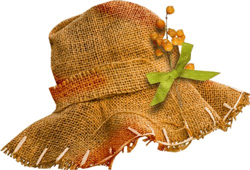Sombrero de espanta pajaros - PNG gratuit