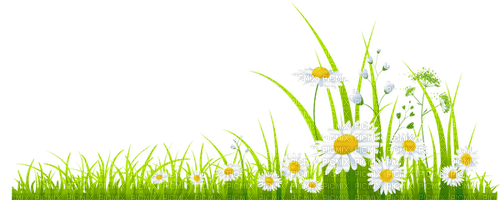 spring grass Bb2 - бесплатно png