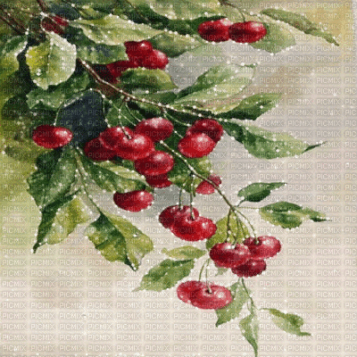 fondo cerezas verde rojo  gif dubravka4 - Gratis animerad GIF