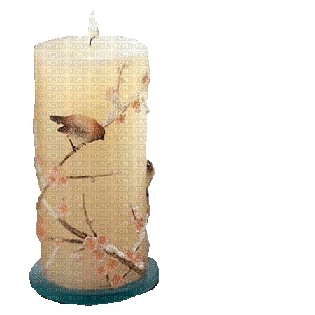 Kerze, Vögel - Gratis animerad GIF