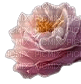 fiore rosa - gratis png