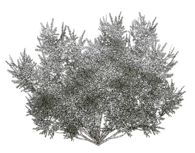 winter-bush-plant-white-deco-minou52 - png gratis