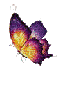 butterfly - Nemokamas animacinis gif
