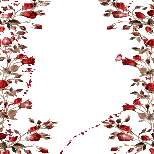frame red flowers gif cadre rouge fleur