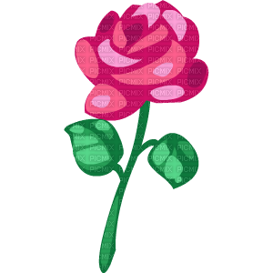 rosa - ücretsiz png