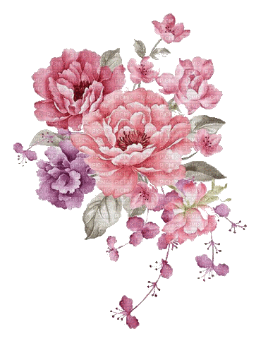 peony pink flower - GIF animado gratis