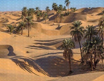 desert background bp - ilmainen png