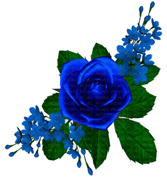 rosa azul dubravka4 - Free PNG