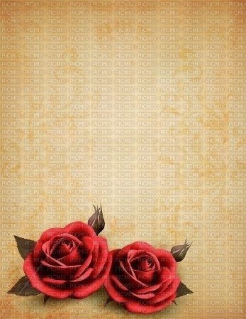 vintage background with roses - δωρεάν png